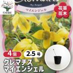 商品画像2