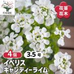 商品画像3