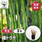 toksa.toksa Hanaki рассада 3 номер /. сделка 4 шт. комплект .. мир современный интерьер Япония сад бонсай bonsai растения садоводство декоративное растение botanikaru жизнь 