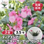 ディアスシア トリニティーサンセットピンク花 花苗 3.5号/お買い得3個セ…