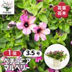 商品画像3