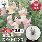 商品画像3