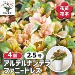 商品画像3