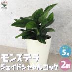商品画像1