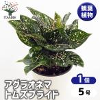 商品画像2