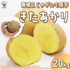 ITANSE картофель. семенной клубень товар вид :kita красный li вид ..... овощи семенной клубень 20kg( заполнение час ) растение в горшке веранда .. лошадь колокольчик . семенной клубень бесплатная доставка i язык se официальный 