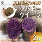 ITANSE картофель. семенной клубень товар вид : тень Queen овощи семенной клубень 2kg( заполнение час ) растение в горшке веранда .. бесплатная доставка i язык se официальный 