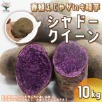 ITANSE картофель. семенной клубень товар вид : тень Queen овощи семенной клубень 10kg( заполнение час ) растение в горшке веранда .. бесплатная доставка i язык se официальный 