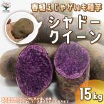 ITANSE картофель. семенной клубень товар вид : тень Queen овощи семенной клубень 15kg( заполнение час ) растение в горшке веранда .. бесплатная доставка i язык se официальный 