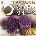 ITANSE картофель. семенной клубень товар вид : тень Queen овощи семенной клубень 20kg( заполнение час ) растение в горшке веранда .. бесплатная доставка i язык se официальный 