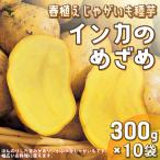 ITANSE картофель. семенной клубень in ka. ... овощи семенной клубень сеть ..300g входить ( заполнение час ). сделка 10 шт. комплект овощи луковица веранда .. бесплатная доставка i язык se официальный 