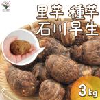 ITANSEsa игрушка mo. семенной клубень товар вид : Ishikawa . сырой овощи. рассада 3kg( заполнение час ) 1 шт продажа .... таро sa игрушка mo семенной клубень ..imo бесплатная доставка i язык se официальный 