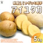 ITANSE осень .. картофель. семенной клубень товар вид : I yutaka5kg( заполнение час ) овощи. рассада /1 шт продажа картофель семенной клубень вид ..i язык se официальный 