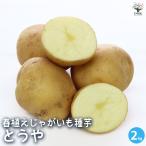  картофель. семенной клубень ... овощи. рассада /. сделка 2kg картофель jagaimo... клубень семенной клубень вид ...... огород 