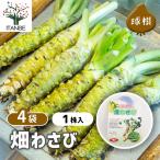  овощи луковица поле васаби овощи. рассада 1 АО /. сделка 4 шт. комплект овощи местного производства вид лампочка вид луковица луковица ......... кулинария свежий сельское хозяйство место хобби садоводство 