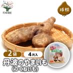  овощи луковица Tanba. ... ..(.....) овощи. рассада 4 одна сторона /. сделка 2 шт. комплект овощи местного производства вид лампочка вид луковица луковица ......... кулинария свежий сельское хозяйство место 