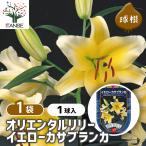 花球根オリエンタルリリーイエローカ...