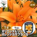 花球根オリエンタルリリーオレンジカ...