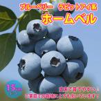 ITANSEブルーベリーホームベル...