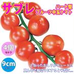 ITANSE помидор рассада Heart type фрукты средний шар помидор соболь овощи рассада собственный корень рассада 9cm pot 4 шт. комплект бесплатная доставка i язык se официальный 