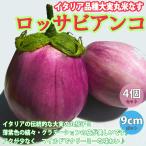 ITANSE ナスの苗 ロッサビアンコ 野菜苗 自根苗 9cmポット 4個セット イタリア品種 送料無料 茄子 なす ナス 苗 イタリアナス イタンセ公式