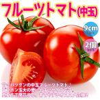 ショッピングトマト ITANSE トマトの苗 フルーツトマト(中玉) 野菜苗 自根苗 9cmポット 2個セット 甘いトマト 送料無料 トマト 苗 イタンセ公式