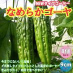 商品画像2
