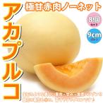 ITANSEメロンの苗アカプルコ極...