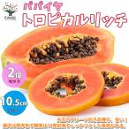 商品画像2