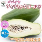 ITANSEパパイヤの苗ダイナミッ...