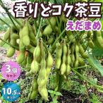 ITANSE 枝豆の苗 食欲そそる香りとコク茶豆(茶枝豆) 野菜の苗 10.5cmポット 3個セット 人気 送料無料 えだまめ エダマメ 枝豆 苗 イタンセ公式