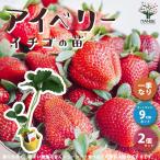 ITANSE клубника. рассада товар вид : I Berry овощи. рассада 9cm pot рассада . сделка 2 шт. комплект популярный огород простой культивирование .. бесплатная доставка i язык se официальный 