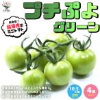 ITANSE мини помидоры рассада маленький .. зеленый овощи рассада собственный корень рассада 10.5cm половина твердость pot 4 шт. комплект новый еда чувство незначительный кожа Petit Toma to бесплатная доставка немедленно отгрузка i язык se официальный 