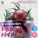 ITANSE ミニトマトの苗 トスカーナバイオレット自根苗 10.5cm 2個セット 野菜苗 超旨ミニトマト 送料無料 ミニトマト 苗 イタンセ公式