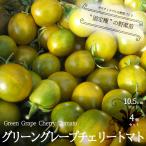 ITANSE средний шар помидор. рассада зеленый серый p Cherry помидор. рассада фиксация вид овощи рассада собственный корень рассада 10.5cm pot 4 шт. комплект бесплатная доставка помидор рассада i язык se официальный 