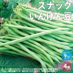 ITANSE снэки фасоль овощи. рассада 9cm pot рассада . сделка 4 шт. комплект популярный огород простой культивирование .. бесплатная доставка i язык se официальный 
