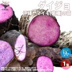 ITANSE большой jo Okinawa ya мой mo фиолетовый вид овощи. рассада melik long рассада * здоровье овощи рассада 12cm pot 1 шт продажа огород простой культивирование бесплатная доставка i язык se официальный 