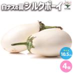 ITANSE белый nas шелк Boy собственный корень рассада овощи. рассада 10.5cm pot . сделка 4 шт. комплект популярный огород простой культивирование .. бесплатная доставка i язык se официальный 