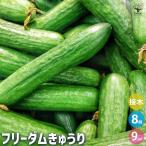  огурец. рассада freedom огурец овощи. рассада 3 номер контактный дерево рассада /. сделка 8 шт. комплект огурец рассада огурец рассада .. рассада овощи рассада огород много .. весна овощи лето овощи 