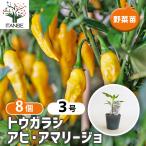  перец стручковый. рассада ahia Marie jo овощи. рассада 3 номер /. сделка 8 шт. комплект перец стручковый перец стручковый рассада tougala seat ugalasi рассада красный острый перец рассада остров перец стручковый рассада 