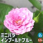 商品画像3