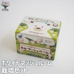 ITANSE.... возможен грибы культивирование комплект Brown гриб .. .1 шт продажа бесплатная доставка i язык se официальный 