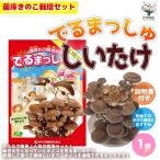 ITANSE. пол .. . культивирование комплект "......"....[..... пол блок, инструкция, винил пакет ] 1 шт продажа бесплатная доставка i язык se официальный 