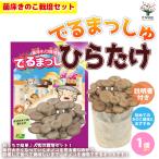 ITANSE. пол .. . культивирование комплект "......" обычный ..[ обычный ... пол блок, город Хюга земля, инструкция, винил пакет ] 1 шт продажа бесплатная доставка i язык se официальный 