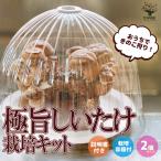 ITANSE...... ...! [ высшее ..... культивирование комплект &amp; культивирование контейнер есть ] грибы культивирование комплект . сделка 2 комплект 1 шт продажа бесплатная доставка i язык se официальный 