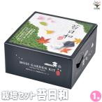 ITANSE культивирование комплект koke мох день мир бонсай /1 шт продажа культивирование простой начинающий культивирование комплект .. person декоративное растение i язык se официальный 