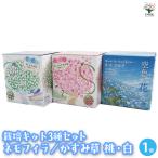  культивирование комплект немофила &amp; гипсофила розовый + белый комплект /1 шт продажа простой комплект культивирование комплект легкий садоводство 