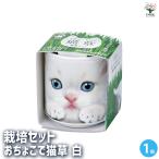  культивирование комплект ..... кошка . белый /1 шт продажа простой комплект культивирование комплект легкий садоводство 