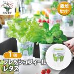  культивирование комплект fre suffire lettuce /1 шт продажа простой комплект культивирование комплект легкий садоводство 