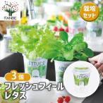  культивирование комплект fre suffire lettuce /. сделка 3 шт. комплект простой комплект культивирование комплект легкий садоводство 